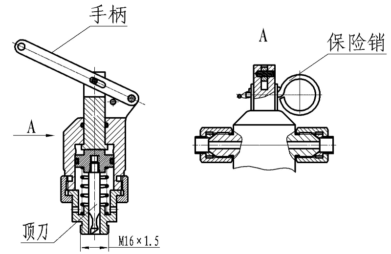 圖片7